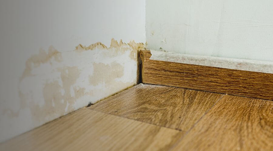 Why choose CleanRipple Co for water damage restoration in Quartz Hill